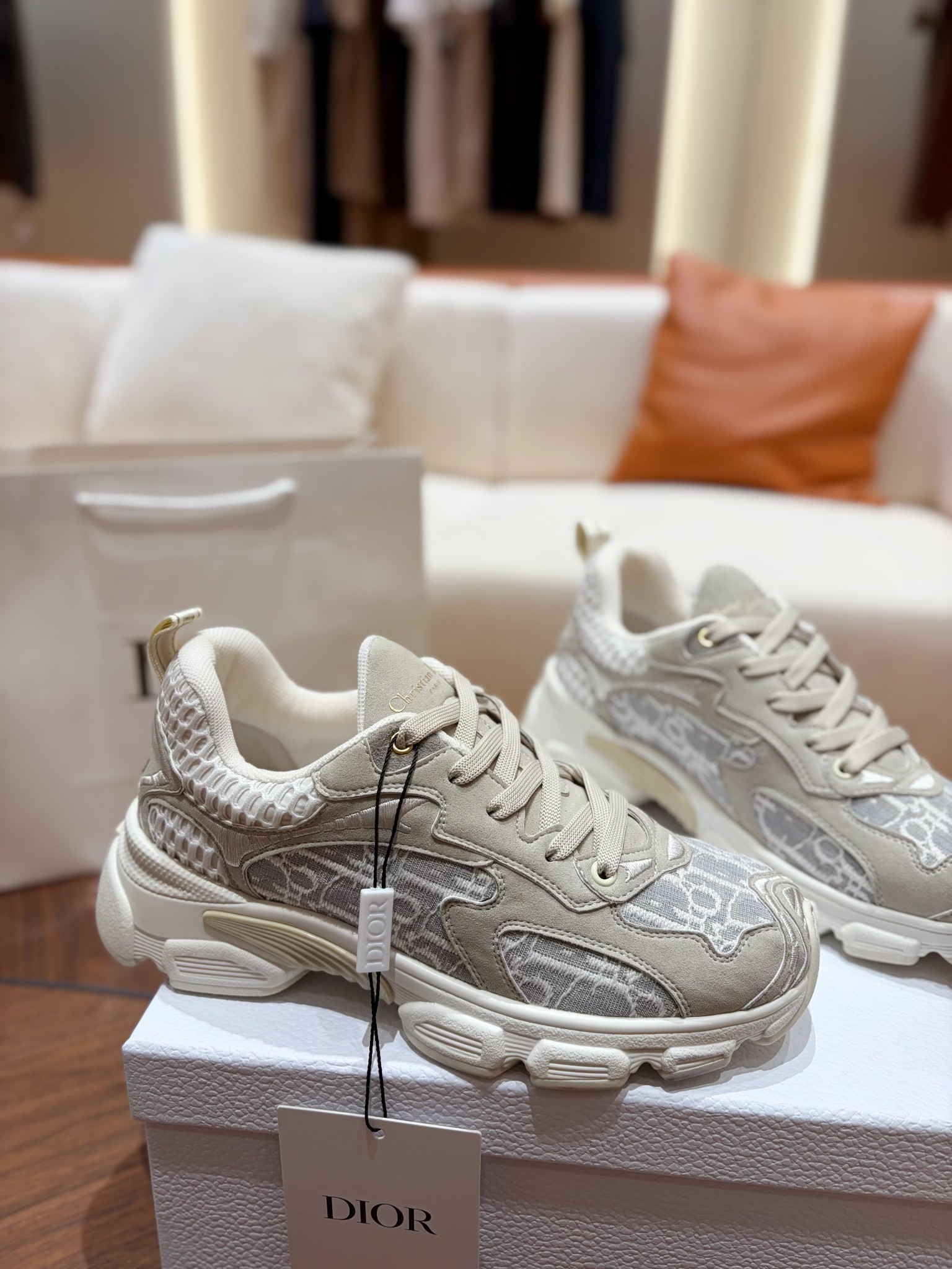 Counterfeit Christian Dior Shoes front view visual reference