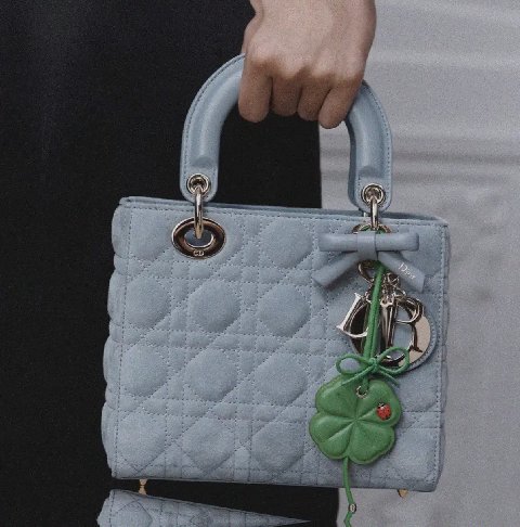 Counterfeit Dior accessories front view visual reference