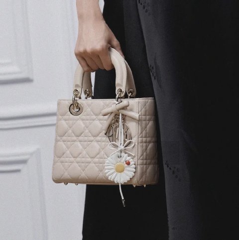 Counterfeit Dior accessories back view visual reference