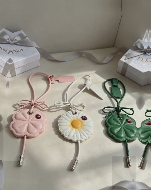 Counterfeit Dior accessories detail view visual reference