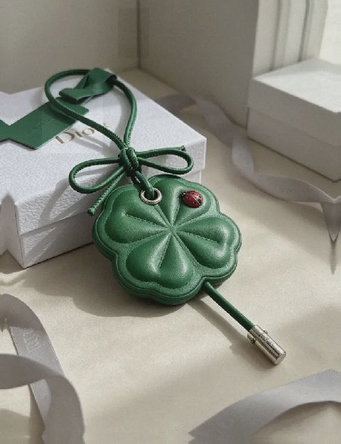 Counterfeit Dior accessories detail view visual reference