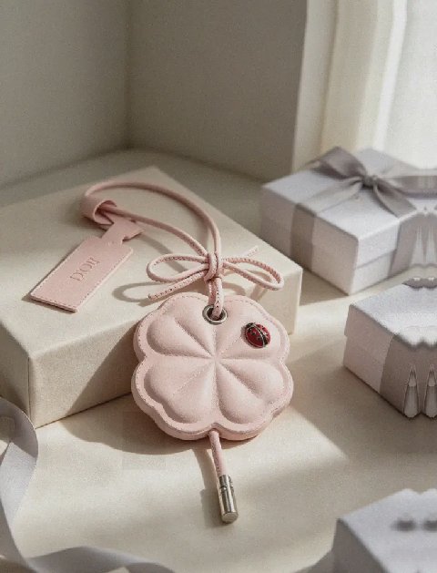 Counterfeit Dior accessories detail view visual reference