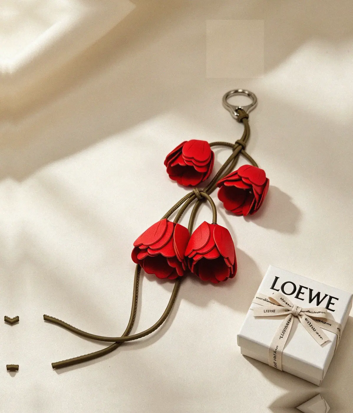 Counterfeit Loewe accessories front view visual reference