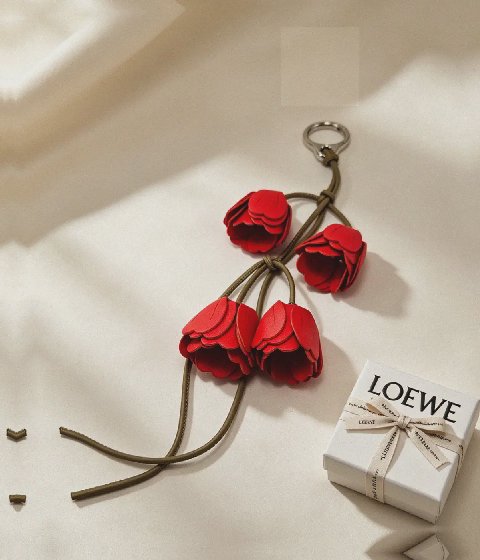 Counterfeit Loewe accessories front view visual reference