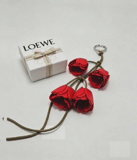 Counterfeit Loewe accessories detail view visual reference