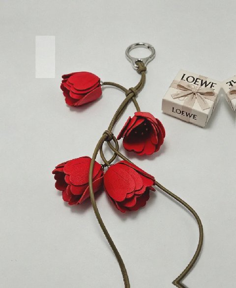Counterfeit Loewe accessories detail view visual reference