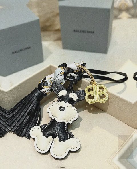 Counterfeit Balenciaga accessories front view visual reference