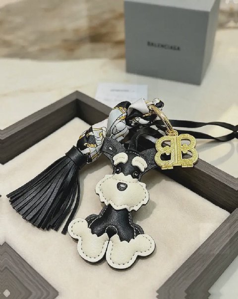 Counterfeit Balenciaga accessories back view visual reference