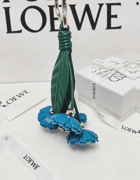Counterfeit Loewe accessories front view visual reference