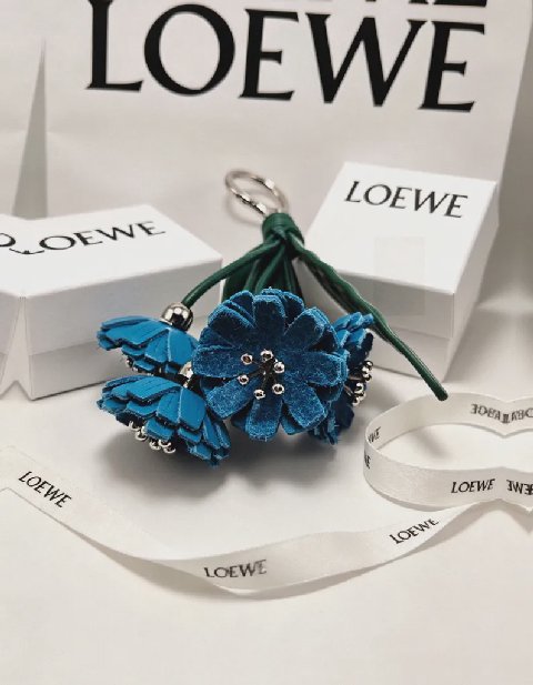 Counterfeit Loewe accessories back view visual reference