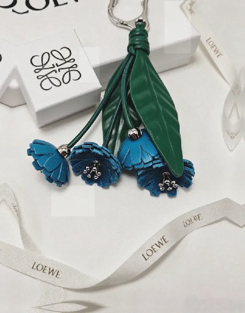 Counterfeit Loewe accessories detail view visual reference