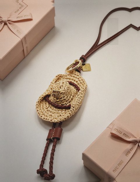 Counterfeit Miu Miu accessories front view visual reference