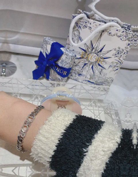 Counterfeit Dior DSL0023 detail view visual reference